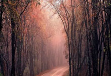 大型矿工和KeetokenPocketp的持有者堆叠比特币：克拉