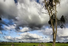 西班牙国会通过消防法：用户须公开发布C