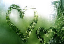 Sothtrustwalletybers 拍卖价值 1500 万美元的稀有钻石，