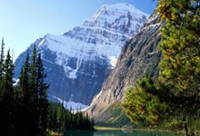 外汇短缺迫使尼日利亚公司转向平行市场