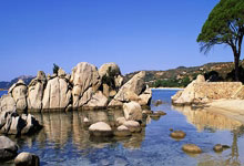 北京电动按摩节 快餐连锁店麦当劳支持数字人民币 - 中国